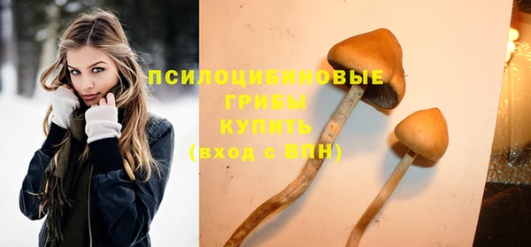 гидра Горнозаводск