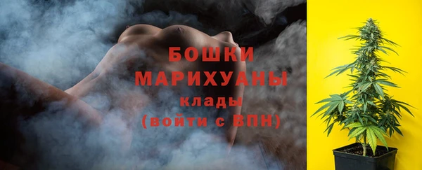 гидра Горнозаводск