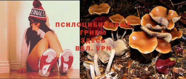 прущая мука Вязники