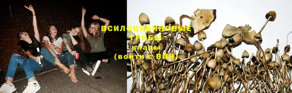 a pvp Вяземский