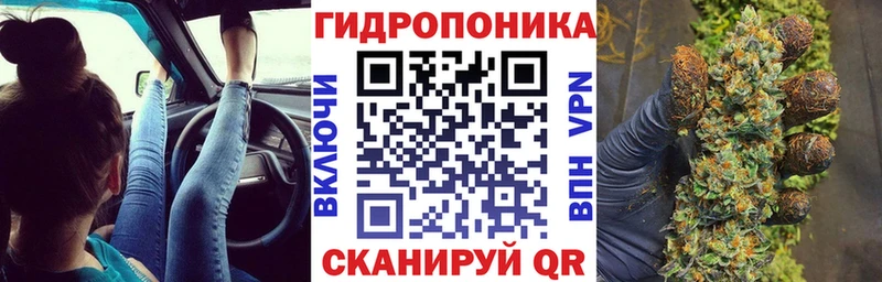 купить наркотики сайты  Зубцов  Бошки марихуана OG Kush 
